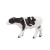 Mojo Holstein kalf staand 387061