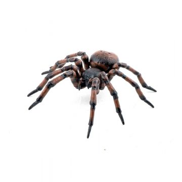 Papo Wild Life Gemeine spinne 50292