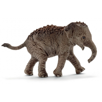 Schleich Wild Life Asiatischer Elefant Kalb 14755 