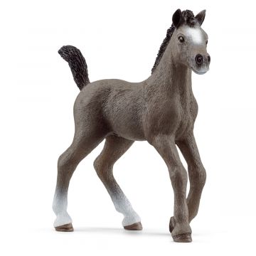 Schleich Horse Club Selle Francais-Fohlen 13957