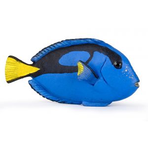 Papo Wild Life Doktorfisch 56024